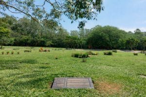 Cemitério do Morumbi: a história do “cemitério-parque” que virou referência em São Paulo — da fundação aos dias atuais