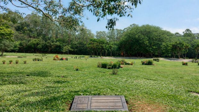 Cemitério do Morumbi: a história do “cemitério-parque” que virou referência em São Paulo — da fundação aos dias atuais